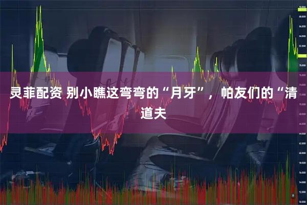 灵菲配资 别小瞧这弯弯的“月牙”，帕友们的“清道夫